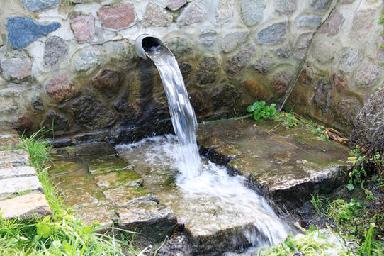 Pilgern von Barth nach Kenz (12 km)