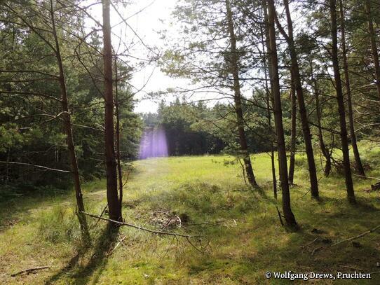 Pilgerwanderung von Barth nach Bodstedt   (11 km)