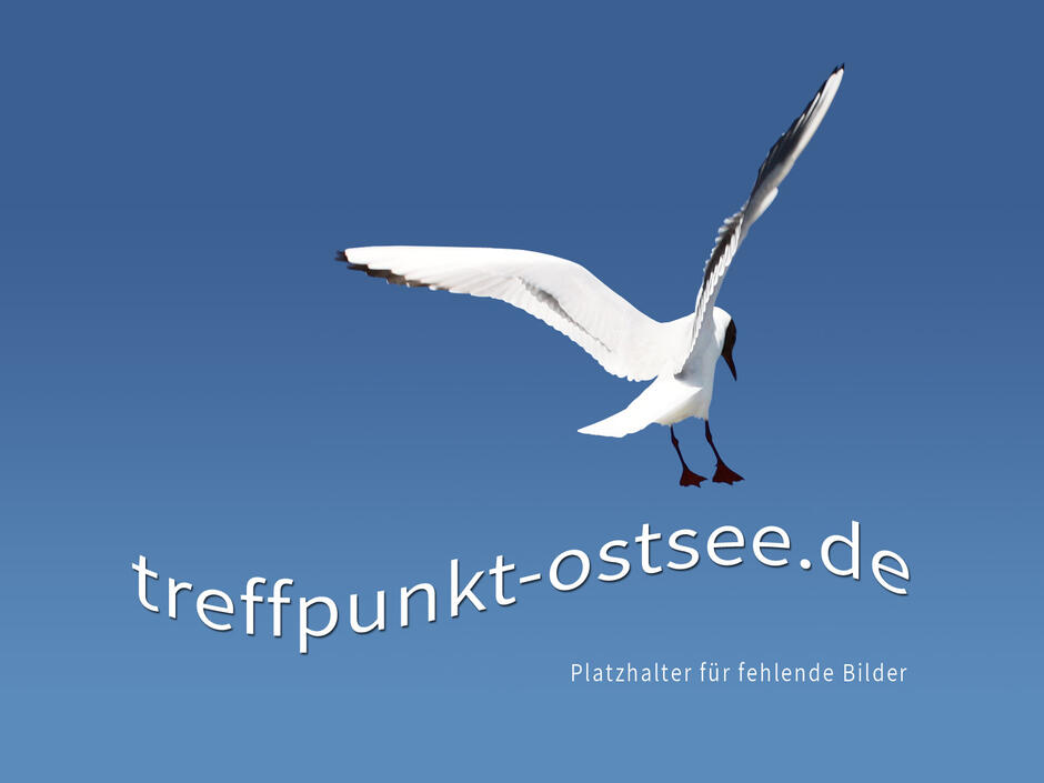 Lütten Wiehnacht Zingst